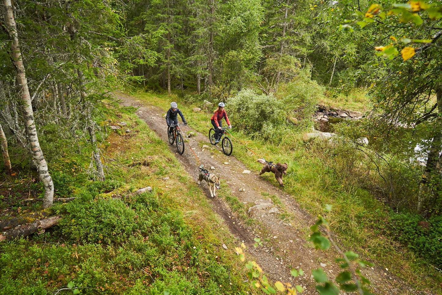 KLICKfix Bike Antenna Package | Bikejor