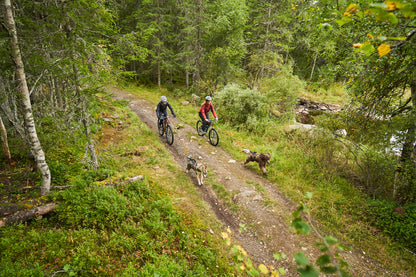 KLICKfix Bike Antenna Package | Bikejor