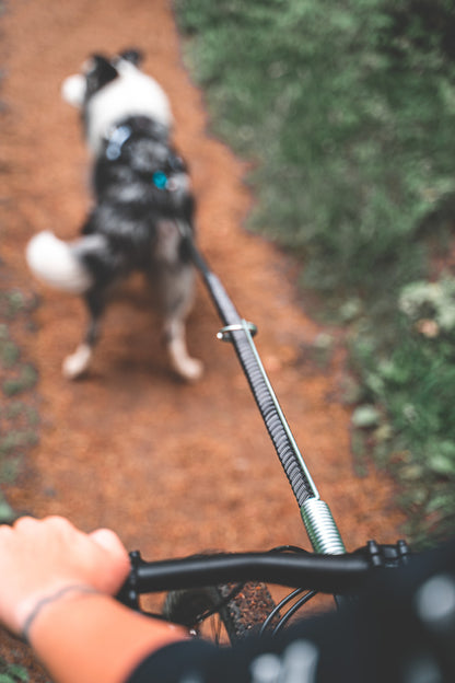 Bikejor Bike Antenna | Non-stop Dogwear