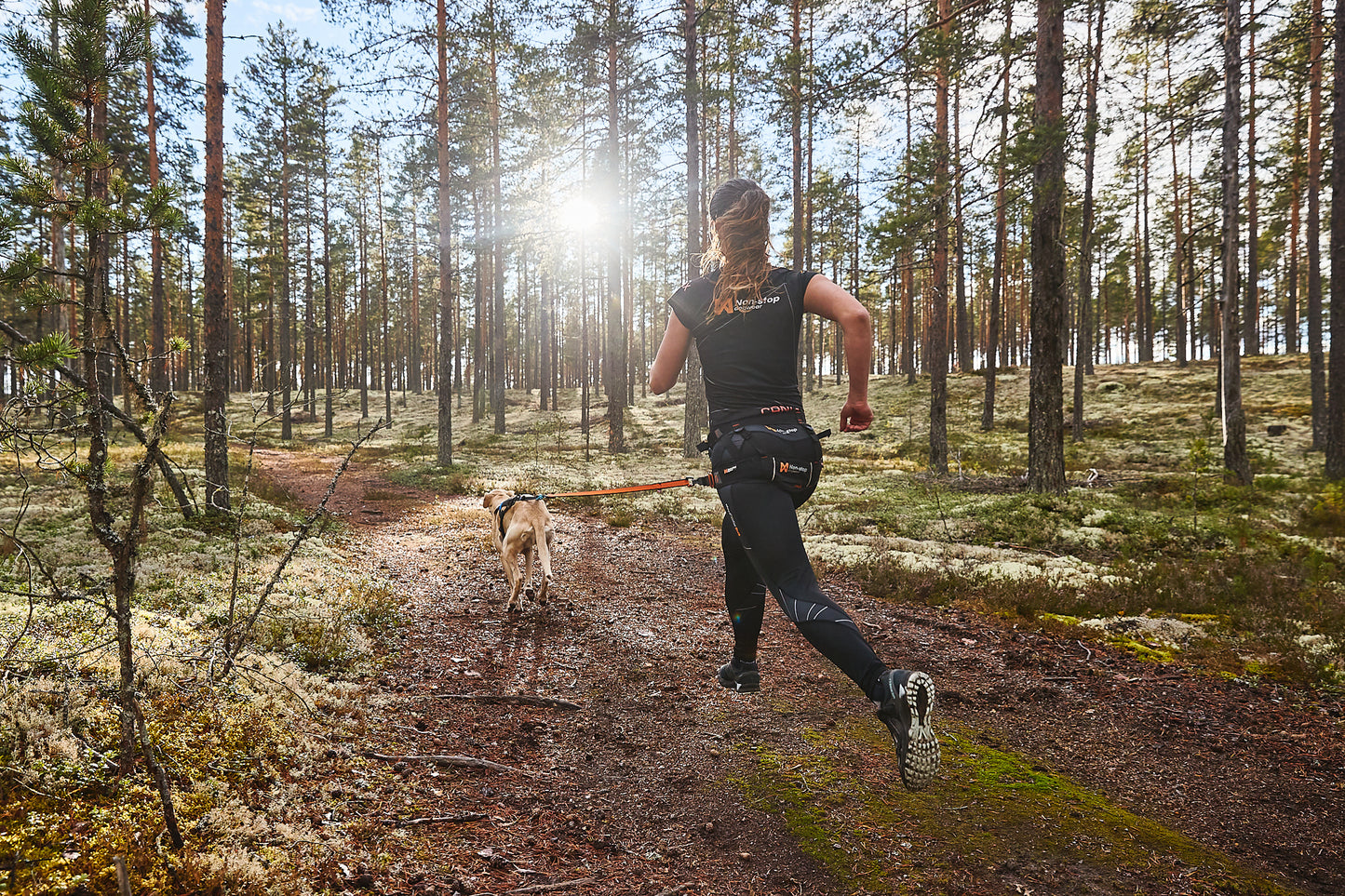 Canix Belt | Non-stop Dogwear