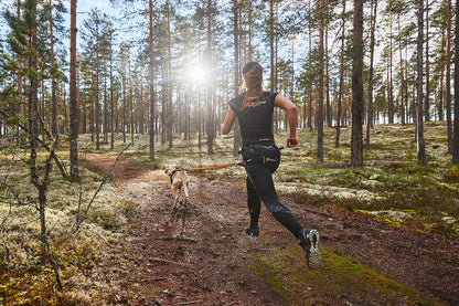 Canix Belt | Non-stop Dogwear