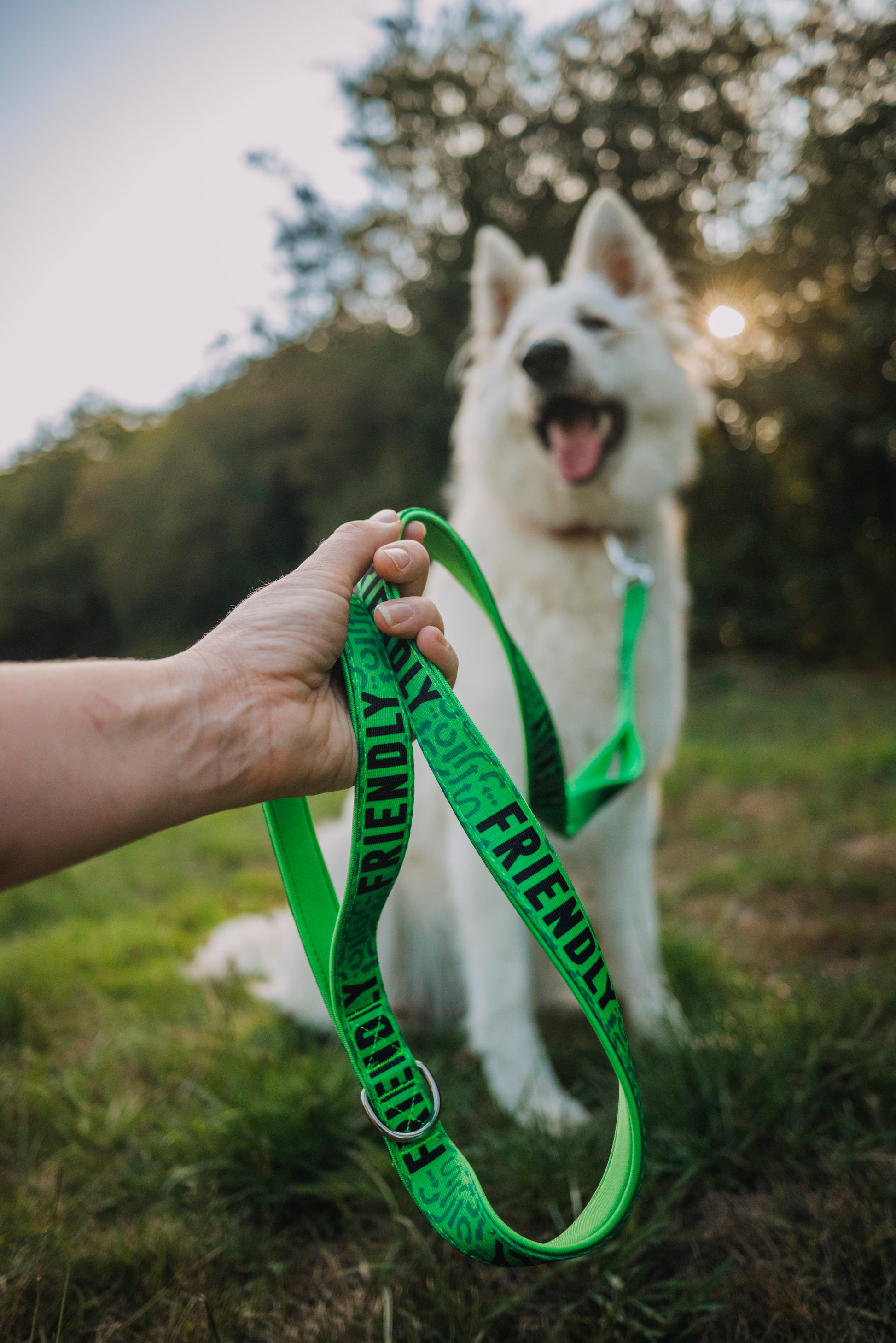 Friendly Dog Lead Awareness Range from Twiggy Tags at Track and Trail Canine Outfitters in Dumfries
