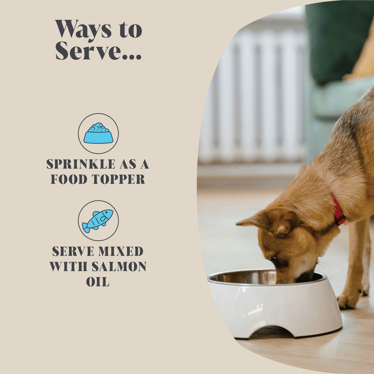 Single Pack | Plaque Seaweed Powder for Dogs | 80 Servings
