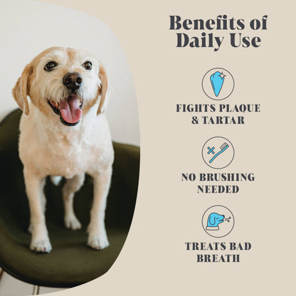 Single Pack | Plaque Seaweed Powder for Dogs | 80 Servings