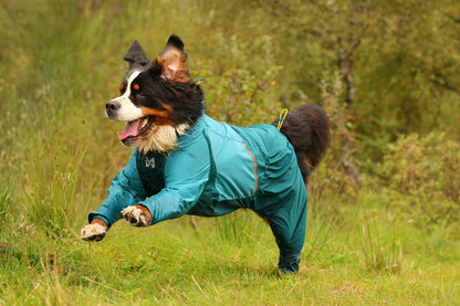 Fjord Overall Raincoat | Non-stop Dogwear