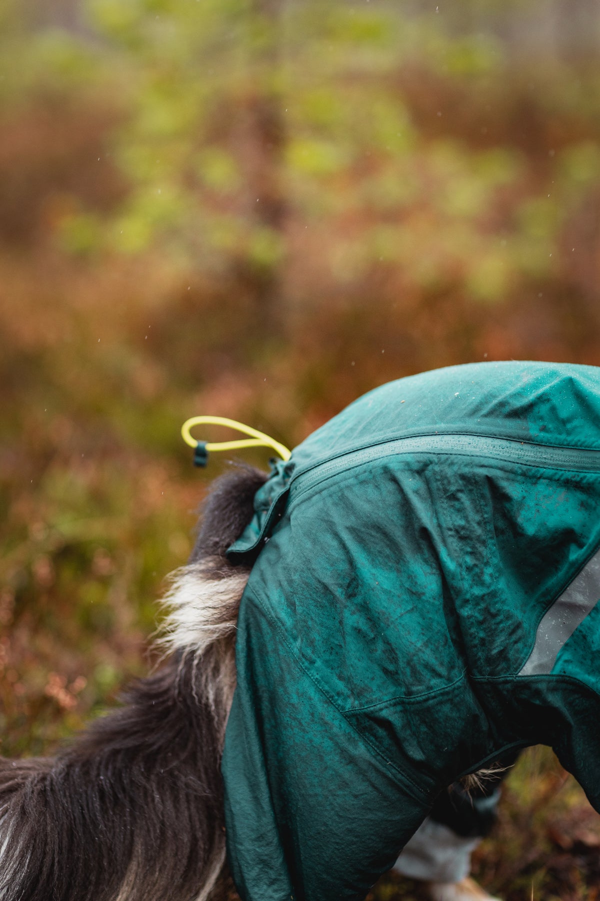 Fjord Overall Raincoat | Non-stop Dogwear