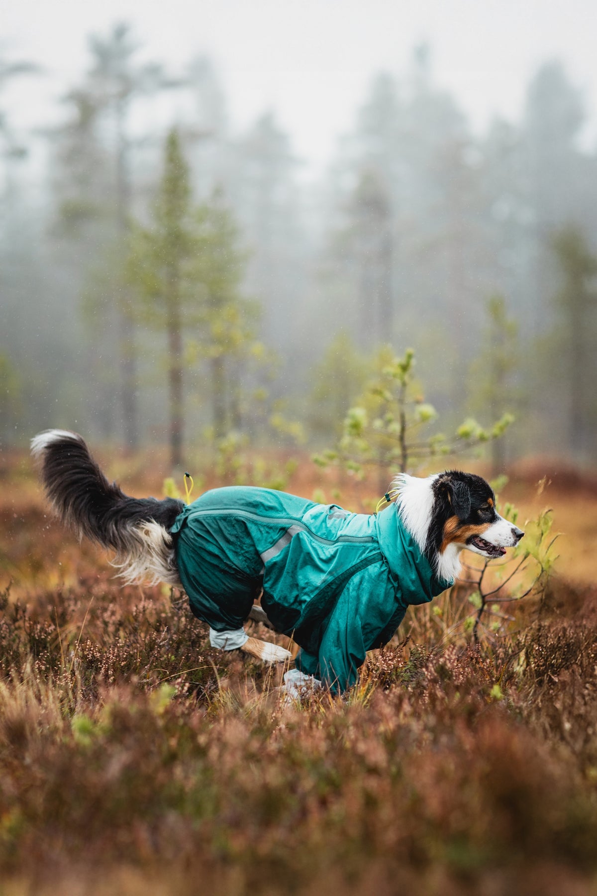 Fjord Overall Raincoat | Non-stop Dogwear