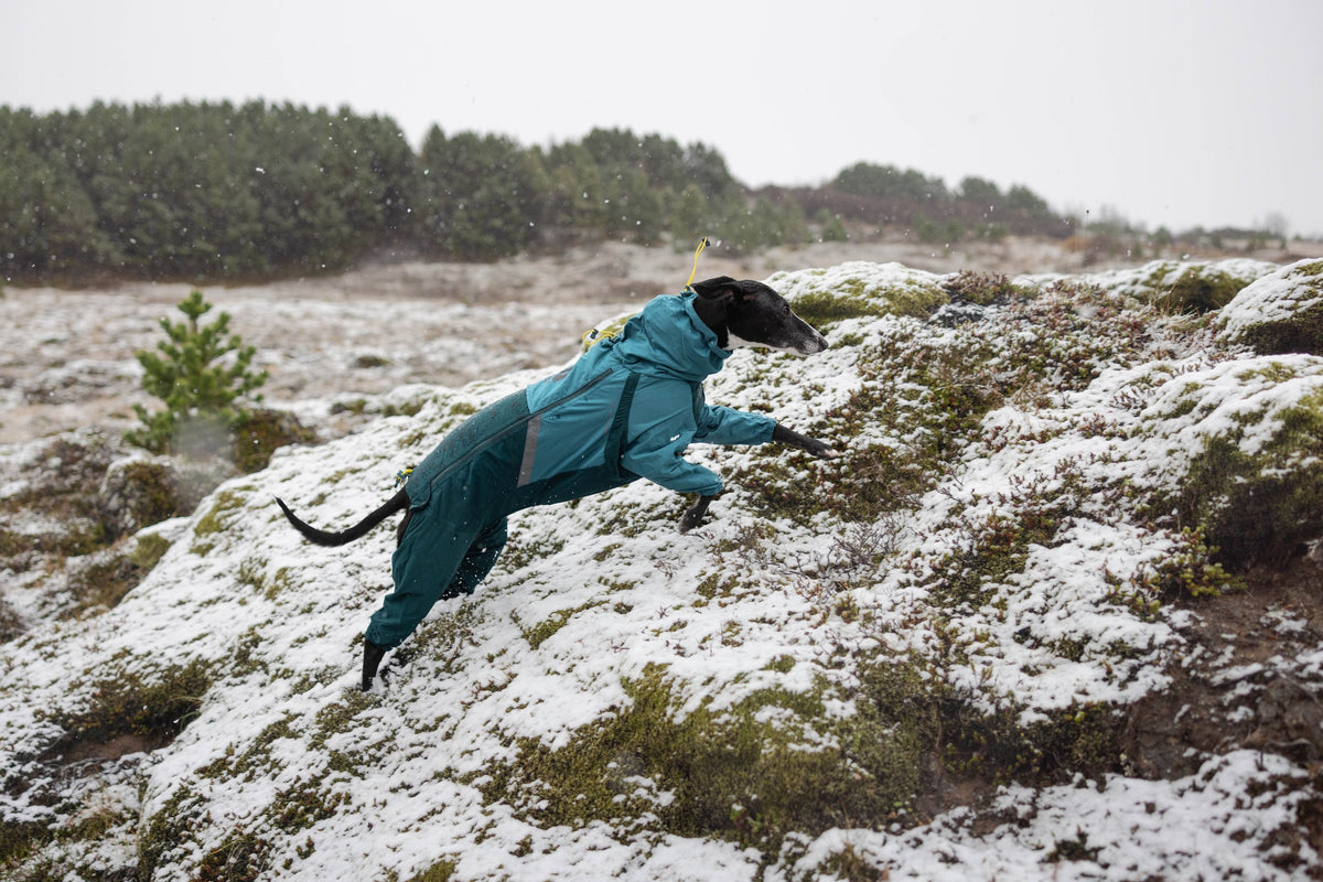 Fjord Overall Raincoat | Non-stop Dogwear