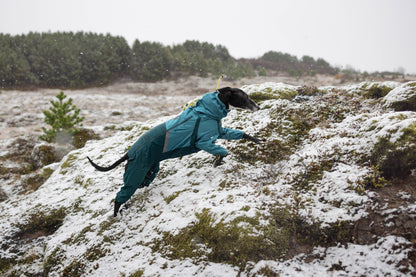 Fjord Overall Raincoat | Non-stop Dogwear