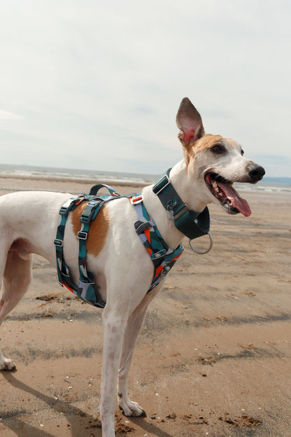 Scramble Harness | Twiggy Tags