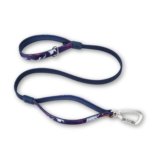 Bungee Lead | Twiggy Tags