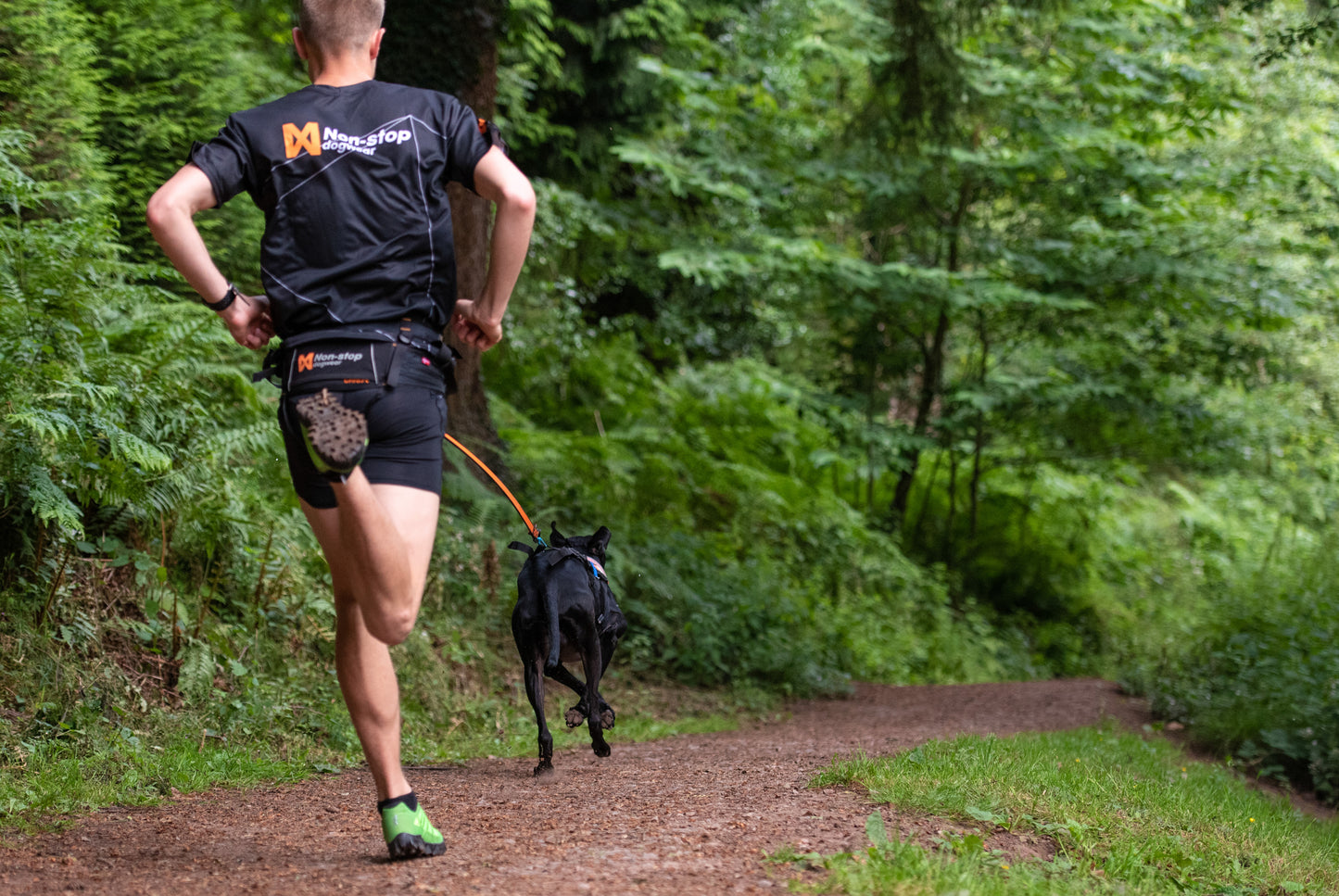 Non-stop Dogwear Bungee Leash