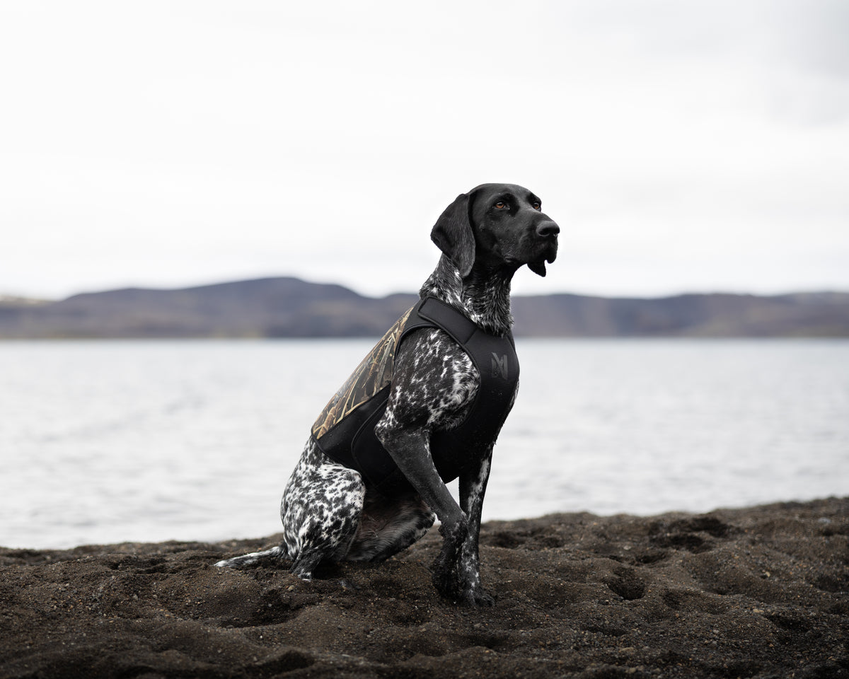 Protector Neoprene Vest Light with Realtree MAX7 | Non-stop Dogwear