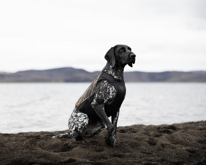 Protector Neoprene Vest Light with Realtree MAX7 | Non-stop Dogwear