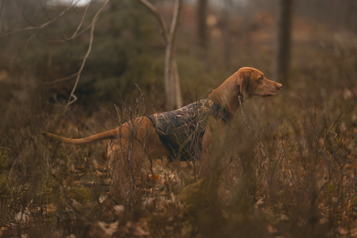 Protector Neoprene Vest Light with Realtree MAX7 | Non-stop Dogwear