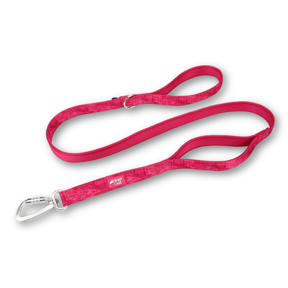 Adventure Close Control Lead | Twiggy Tags
