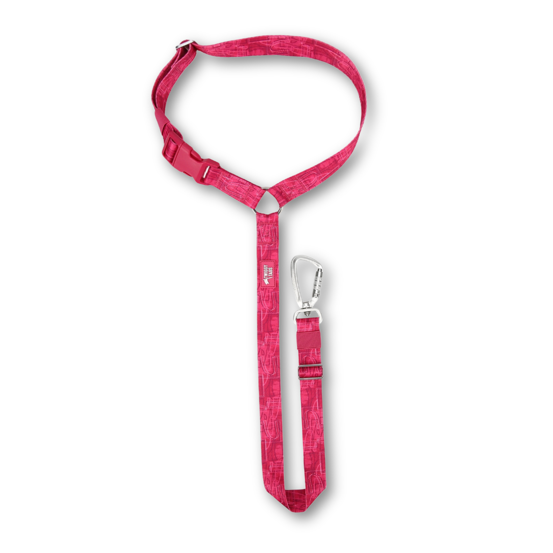 Twiggy Tags | Headrest Safety Seatbelt