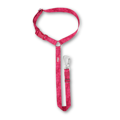 Twiggy Tags | Headrest Safety Seatbelt