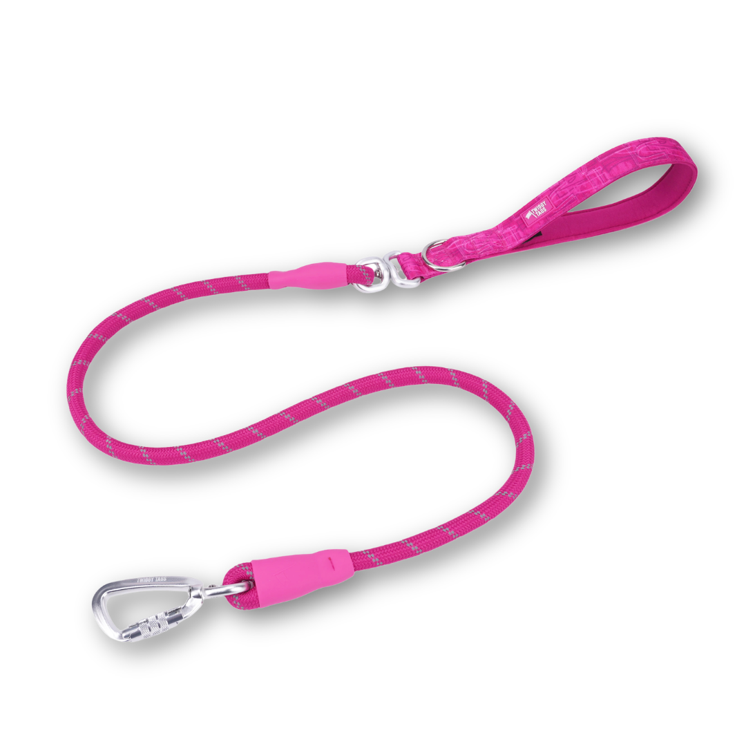 Rope Lead | Twiggy Tags
