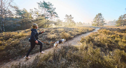 Non-stop Dogwear Trail Light Belt