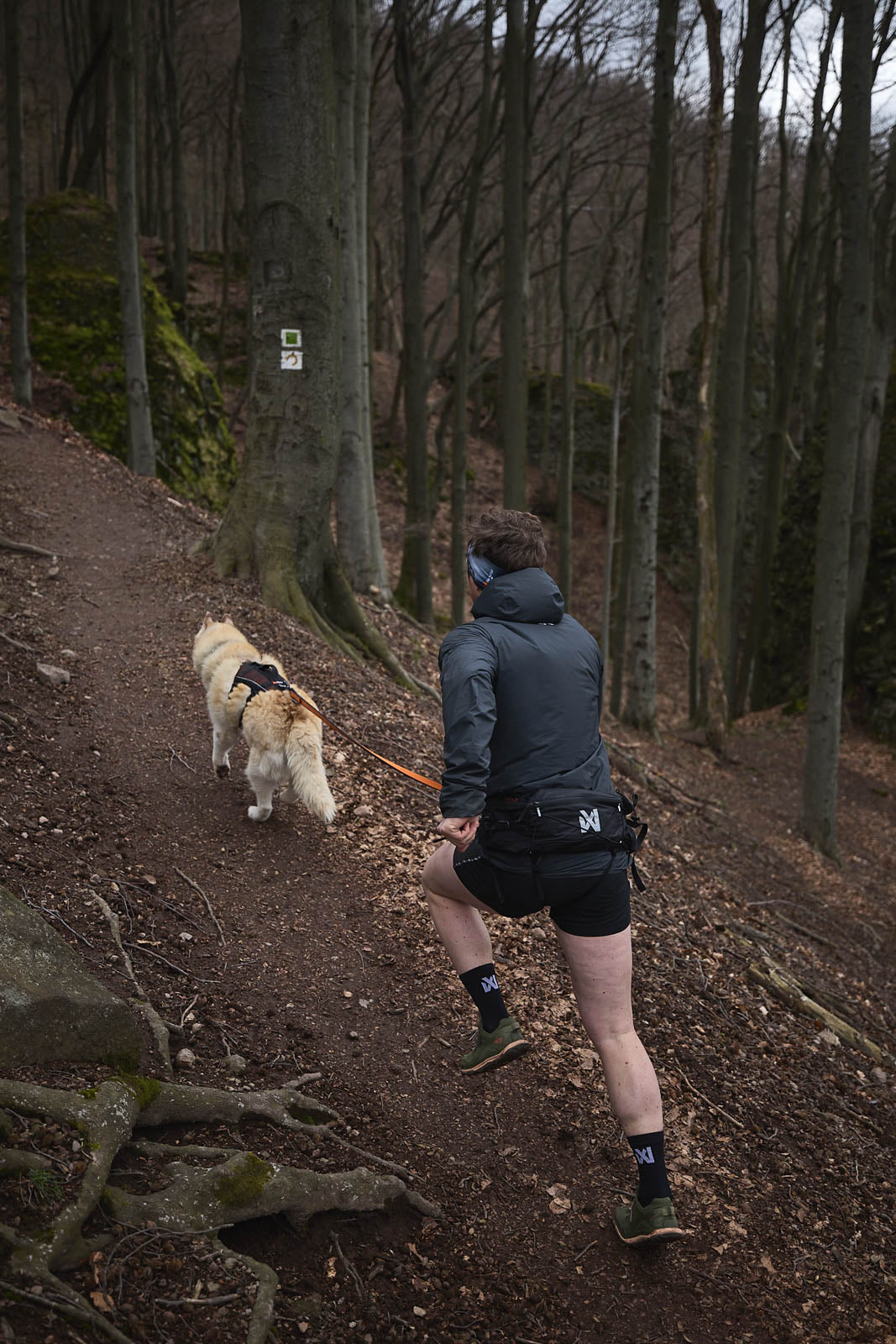 Non-stop Dogwear Trail Light Belt